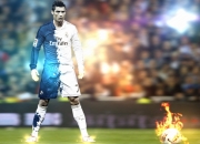 Scout遭遇五连败，TL教练面临压力！